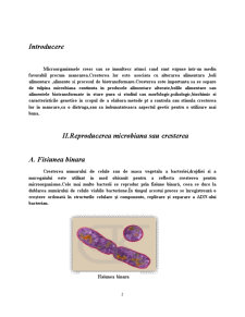 Curba creșterii microbiene - Pagina 2