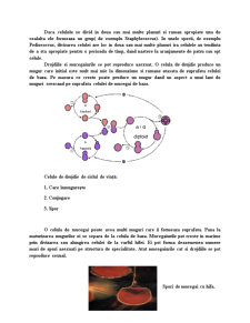 Curba creșterii microbiene - Pagina 4