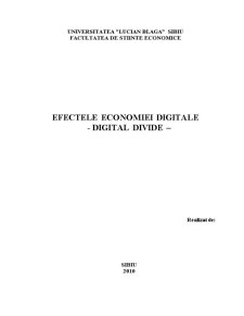 Efectele Economiei Digitale - Digital Divide - Pagina 1