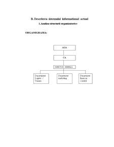 Analiza informațional-decizională pentru o societate comercială cu răspundere limitată - Pagina 4