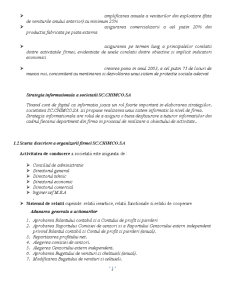 Plan de Afaceri SC Chimco SA - Pagina 5