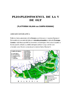 Plio - Pleistocenul de la Vest de Olt - Pagina 1