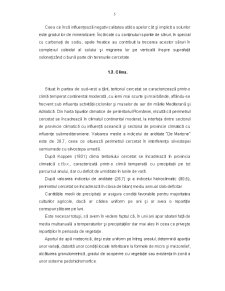 Analiza și caracterizarea zonei Timișoara - Becicherecu Mic sub aspectul condițiilor pedoclimatice - Pagina 5
