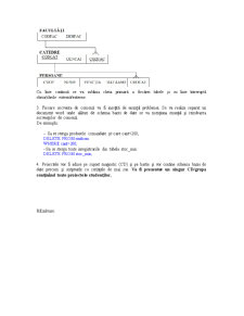 Proiect Baze de Date (Oracle) - Pagina 3