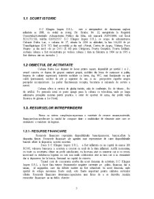 Caiet de practică - SC Klingeis Impex SRL - Pagina 3