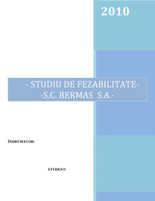 Studiu de Fezabilitate - SC Bermas SA - Pagina 1