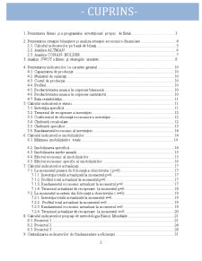 Studiu de Fezabilitate - SC Bermas SA - Pagina 2