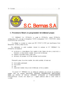Studiu de Fezabilitate - SC Bermas SA - Pagina 3
