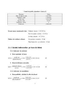 Studiu de Fezabilitate - SC Bermas SA - Pagina 5
