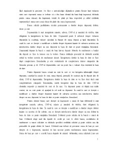 Sistem Informatic pentru Creditarea Persoanelor Juridice - Pagina 5