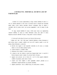 Contractul Individual de Munca de Tip Particular - Pagina 3