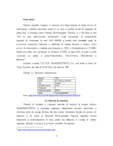 Reflectarea Aspectelor Financiare ale Guvernantei Corporatiste la CNTEE Transelectrica SA - Pagina 4