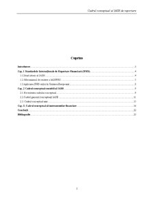 Cadrul Conceptual IASB pentru Raportare - Pagina 2
