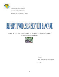 Rolul sistemului bancar românesc în desfășurarea operațiunilor de plăți - Pagina 1