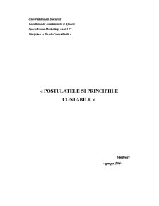 Postulatele și Principiile Contabile - Pagina 1