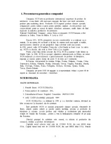 Analiza Diagnostic a Firmei SC NCH România SRL - Pagina 3