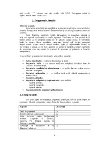 Analiza Diagnostic a Firmei SC NCH România SRL - Pagina 4