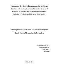 Raport privind Laboratoarele la Disciplina Proiectarea Sistemelor Informatice - Pagina 1
