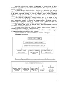 Aspecte Teoretico-Practice ale Contabilitatii si Gestiunii Stocurilor la SC Flavi-Com SRL - Pagina 2