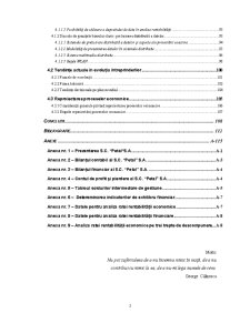 Analiza rentabilității la SC Petal SA - Pagina 3