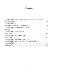 Analiză fundamentală Zentiva - Pagina 2