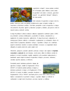 Piața produselor apicole ecologice - Pagina 5