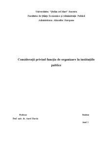 Considerații privind Funcția de Organizare în Instituțiile Publice - Pagina 1