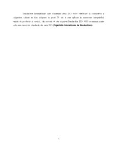 Audit Intern - SC Frigorifer SA - Pagina 5