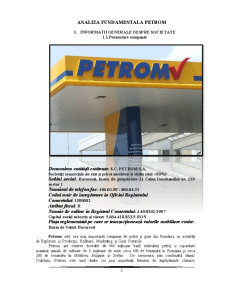 Analiza fundamentală a societății Petrom 2010 - Pagina 3
