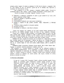 Analiza fundamentală a societății Petrom 2010 - Pagina 4