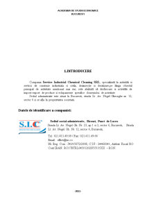 Analiza sistemului logistic la întreprinderea SC Service Industrial Chemical Cleaning SRL - Pagina 3
