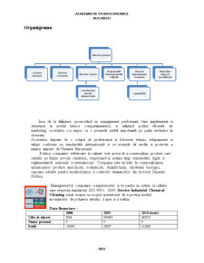 Analiza sistemului logistic la întreprinderea SC Service Industrial Chemical Cleaning SRL - Pagina 4