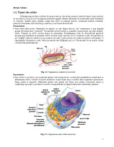 Biologie celulară - Pagina 5