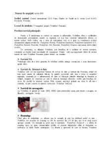 Studiu de Caz - Vodafone - Pagina 3