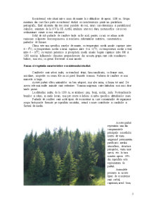 Observarea și descrierea unui ecosistem - Pădurea de conifere din zona Piatra Fântânele - Pagina 3