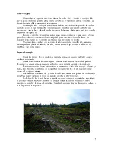 Observarea și descrierea unui ecosistem - Pădurea de conifere din zona Piatra Fântânele - Pagina 5