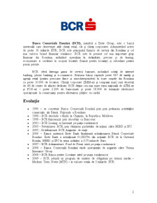 Analiza unui Dosar de Creditare BCR pentru Persoane Fizice - Pagina 2