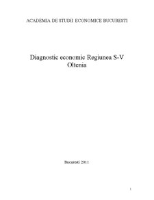 Diagnostic Economic Regiunea Sud-Vest Oltenia - Pagina 1