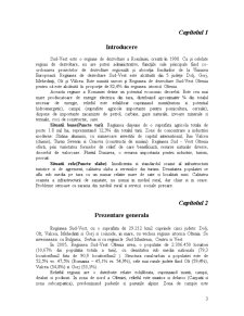 Diagnostic Economic Regiunea Sud-Vest Oltenia - Pagina 3