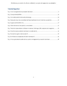 Modelarea Proceselor de Afaceri Utilizând Concepte ale Ingineriei Cunoștințelor - Pagina 4