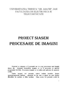 Proiect - SIASEM Procesare de Imagini - Pagina 1
