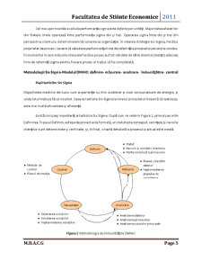 Metode și tehnici de dezvoltare a vânzărilor - Six Sigma - Pagina 5