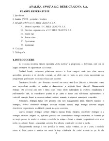 Analiza SWOT a unei Firme - SC Bere Craiova SA - Pagina 1