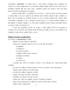 Analiza SWOT a unei Firme - SC Bere Craiova SA - Pagina 3
