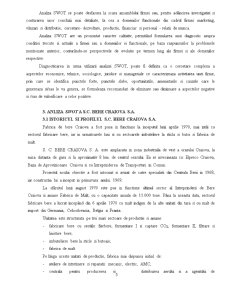 Analiza SWOT a unei Firme - SC Bere Craiova SA - Pagina 5
