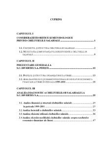 Analiza diagnostic a cheltuielilor la SC Divertex SA Pitești - Pagina 1