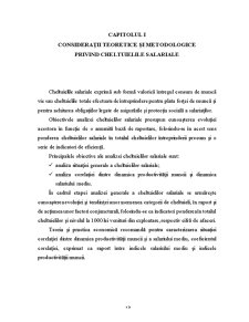 Analiza diagnostic a cheltuielilor la SC Divertex SA Pitești - Pagina 3