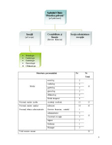 Elaborarea strategiei de dezvoltare informatică a unui obiect - proiect director de informatizare a unei policlinici - Pagina 4