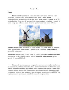 Managementul investițiilor - montarea turbinei eoliene - Pagina 2