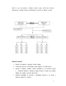 Lucrare practică - organizarea și funcționarea SC Aurnivas SRL - proces bugetar public - Pagina 4